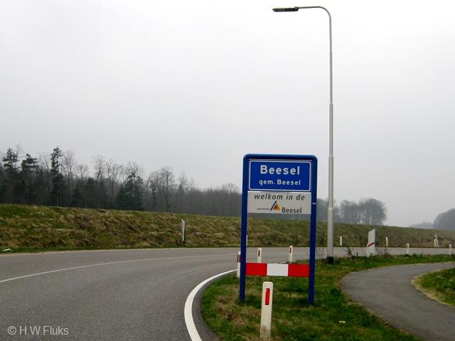 beesel026