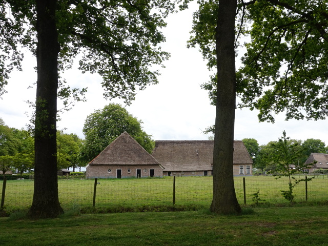 DSC00474zwinderen_z