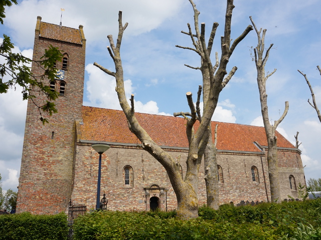 DSC00560boazum_z