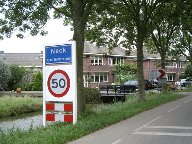 IMGP8822