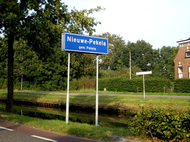 IMGP9531