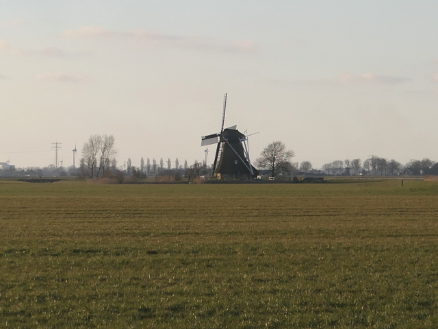 P1350467lollum_z