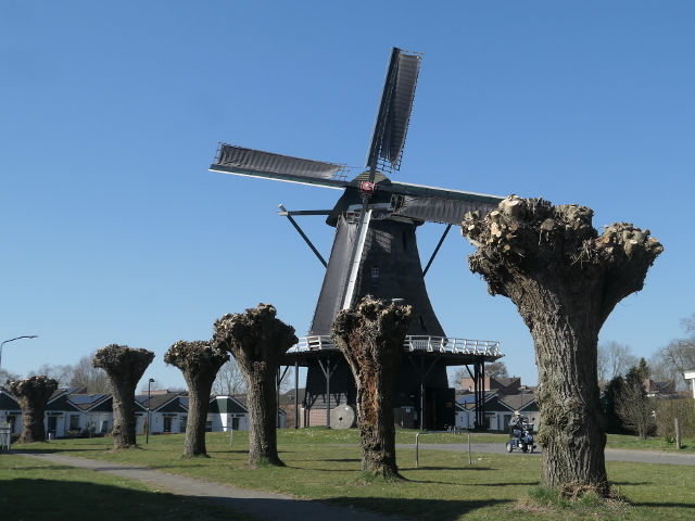 P1350544gemert_z