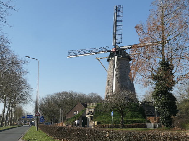P1350579weert_z