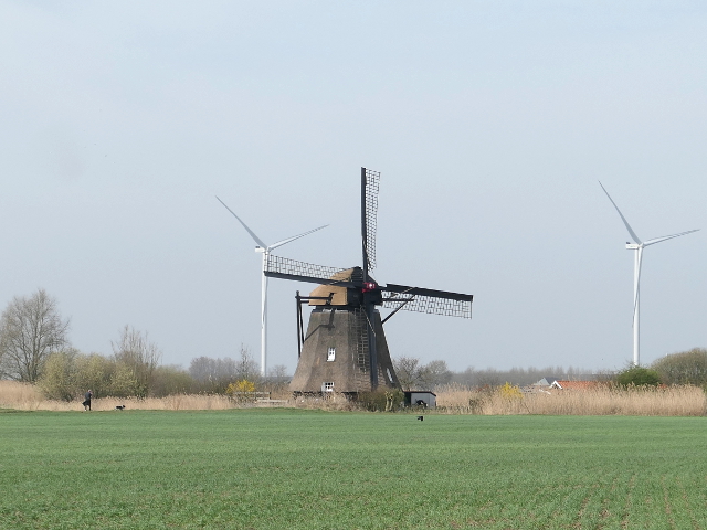 P1350637ophemert_z