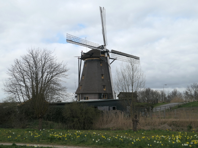 P1350745aalsmeer_z