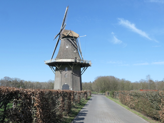 P1350935vilsteren_z