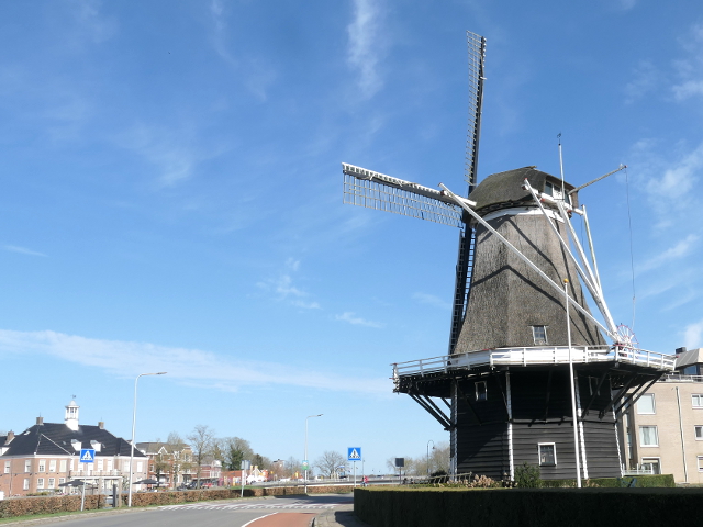 P1350938ommen_z
