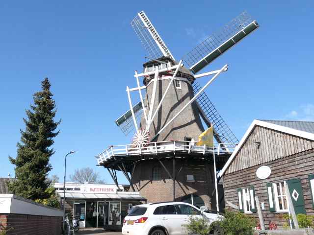 P1350940ommen_z