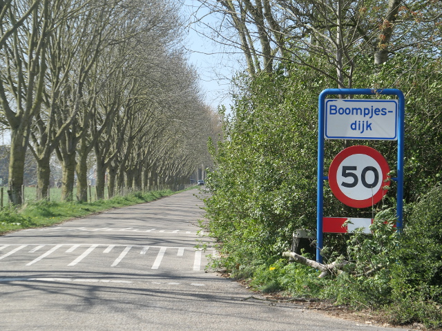 P1360092boompjesdijk_w