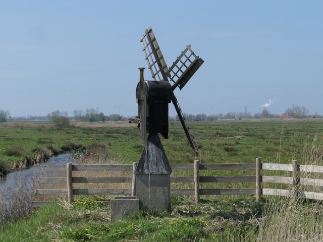 P1360184grootschermer_z