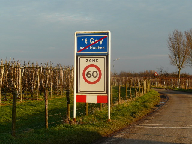 P1020098tgoy