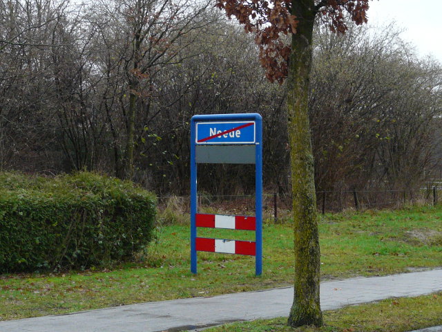 P1020209neede