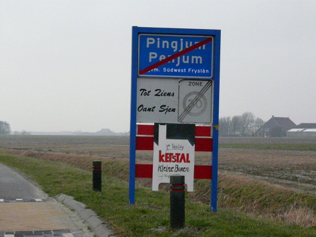 P1020279pingjum