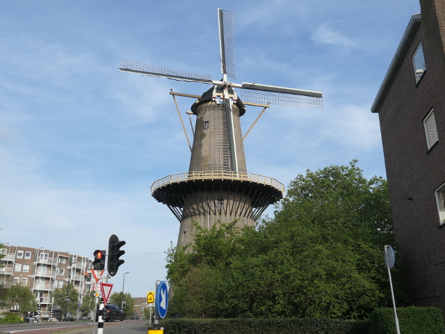 P1360213vlaardingen_z