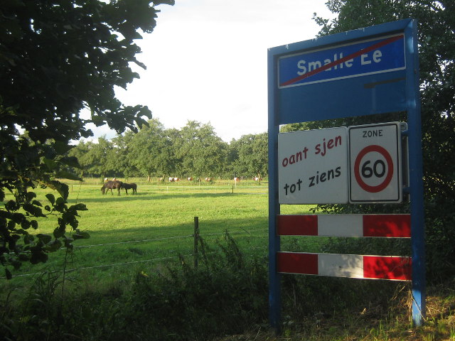 IMG_2262smalleee