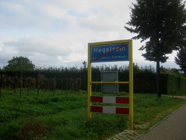 IMG_2428hegelsom