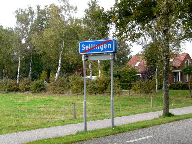 P1000900sellingen