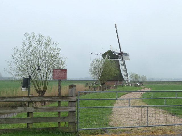 P1360387visvliet_z