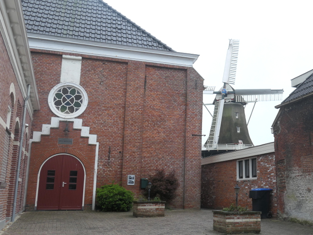 P1360391burum_z