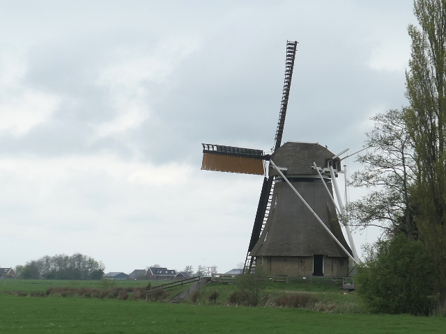 P1360411broeksterwoude_z