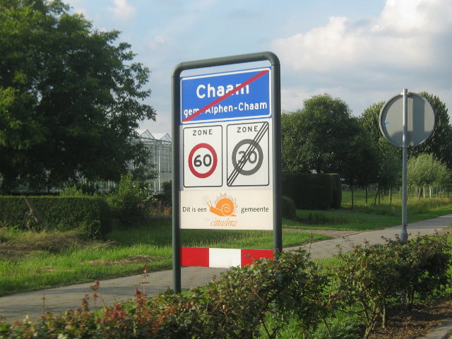 IMG_1348chaam