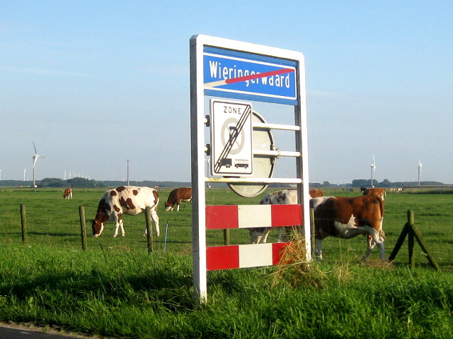 IMG_1511wieringerwaard
