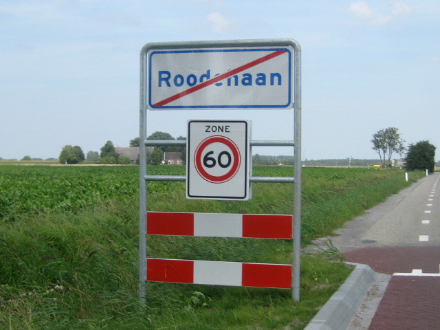 IMG_1577roodehaan