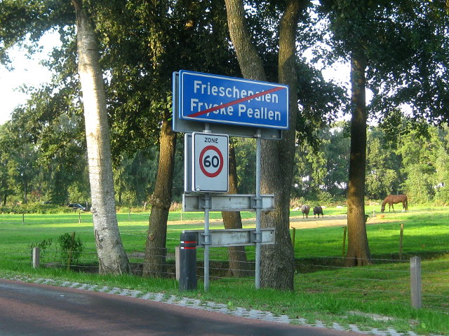 IMG_1668frieschepalen