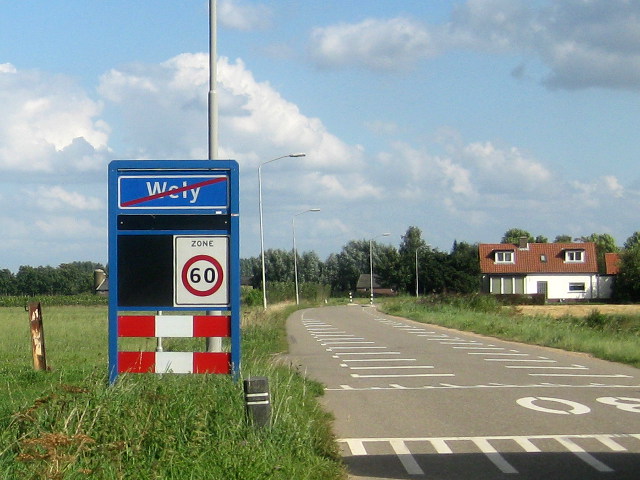 IMG_1851wely