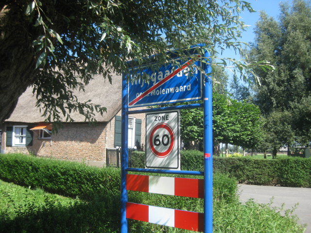 IMG_2030wijngaarden