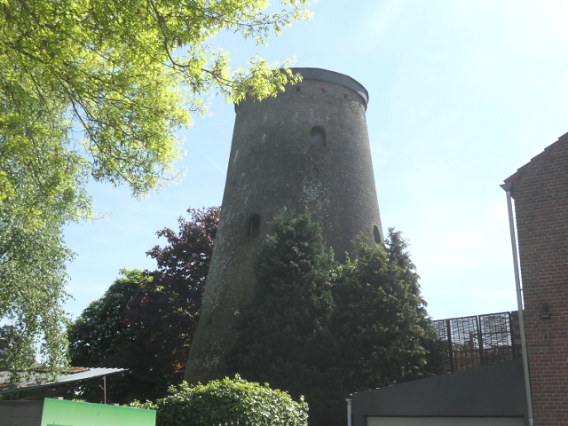 P1360687dongen_z