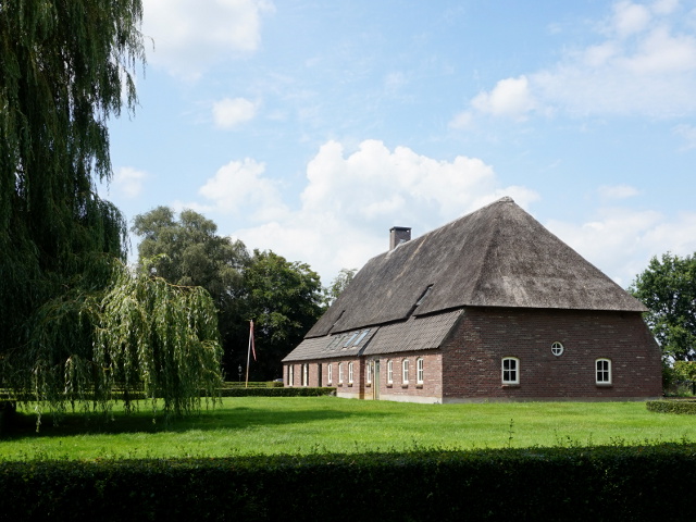 DSC09358loosbroek_z