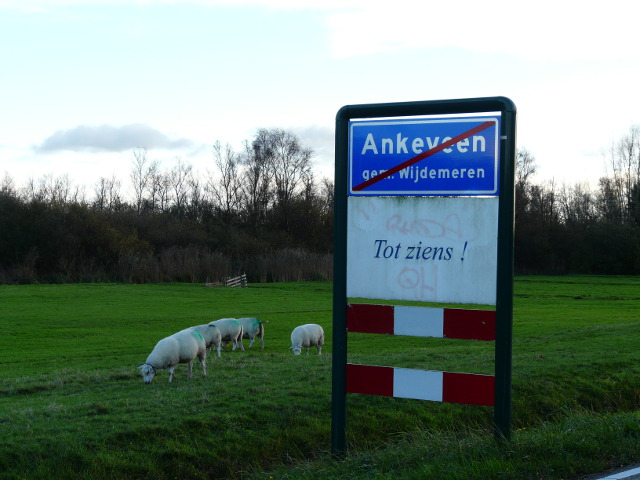 P1010458ankeveen