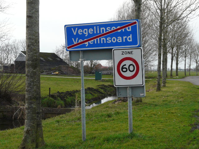 P1020485vegelinsoord