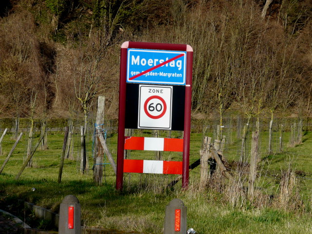 P1030157moerslag