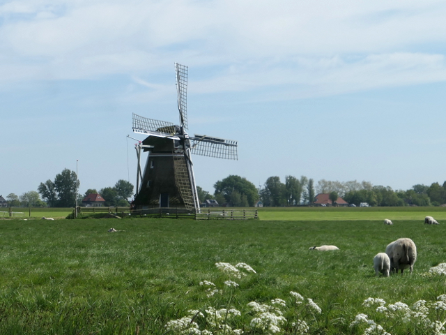 P1370038stiens_z