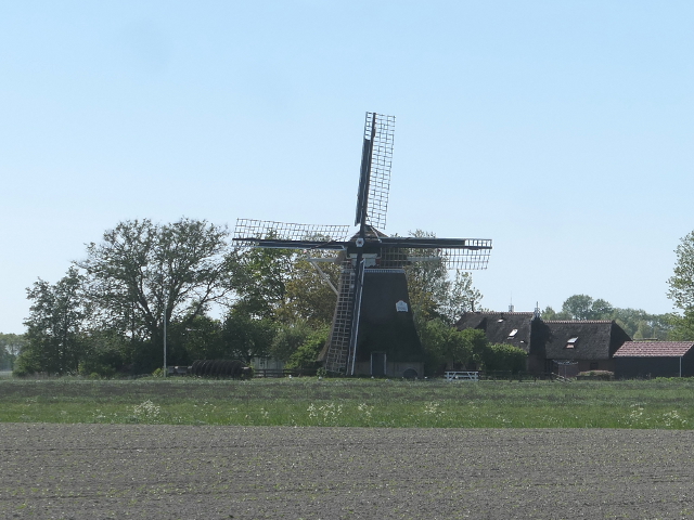 P1370067marrum_z