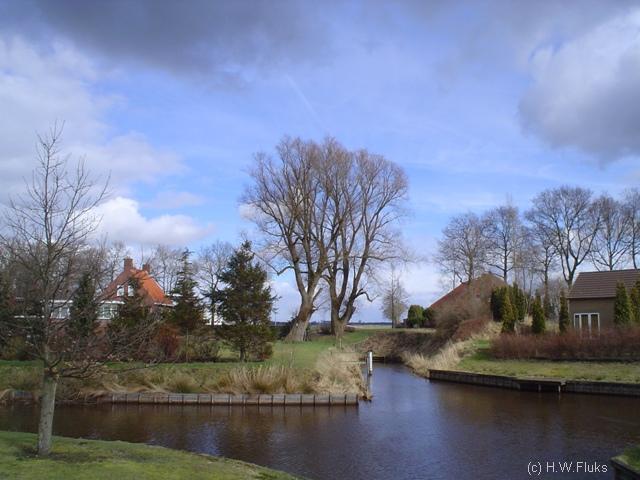 scharmerDSC03788