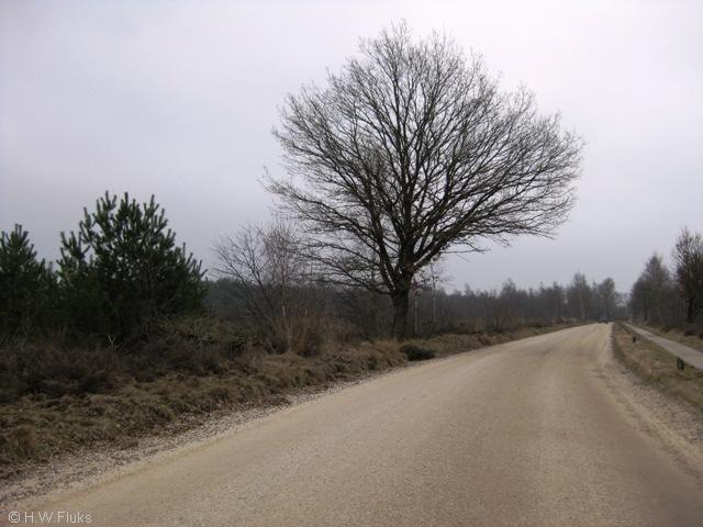 assel033
