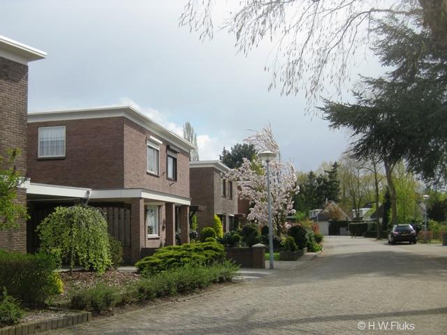 batadorp9444