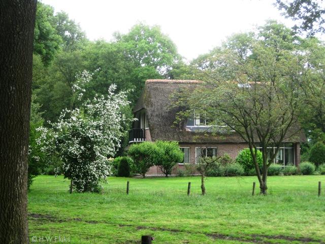 middendorpbf030