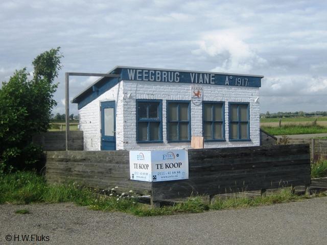 viane5402