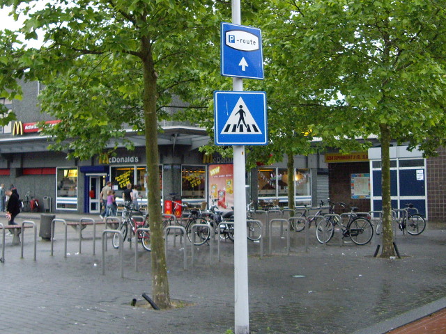 IMGP0066pleidschendam