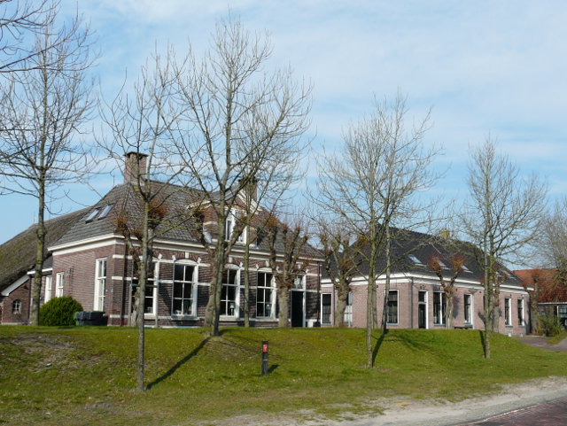P1040862rogat