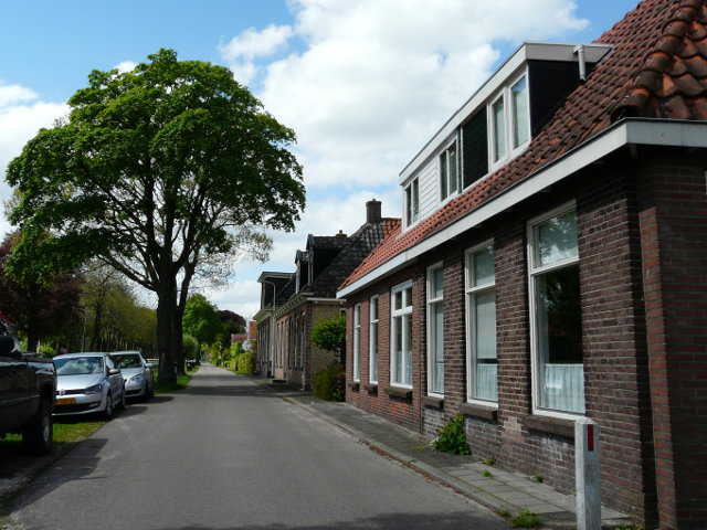 P1050740deknipe