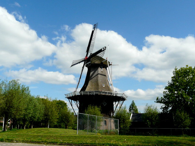 P1050771joure