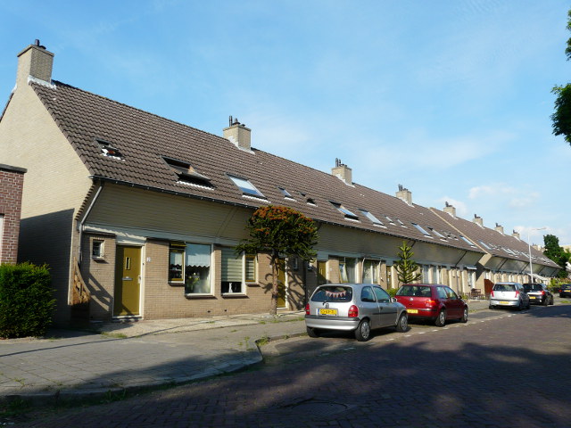 P1080312zwijndrecht
