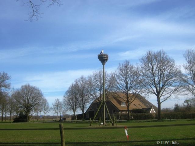 taarlo8406