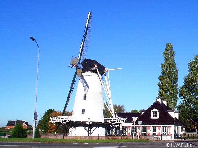 tenpostDSC05312